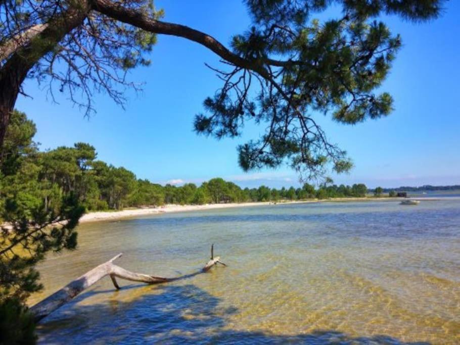 La Petite Landaise Βίλα Sanguinet Εξωτερικό φωτογραφία